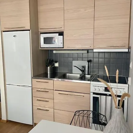 Lovely In The Famous Design District Area. Apartment
